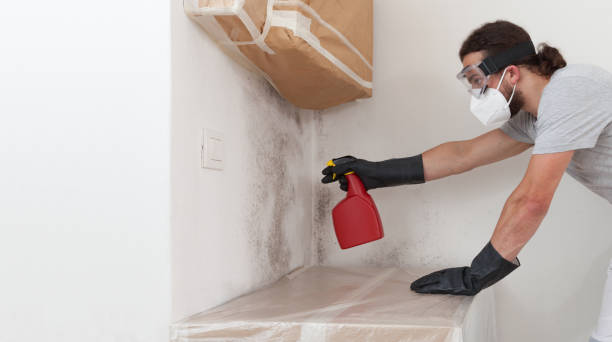 Professional Mold Remediation technician working in Hudgins, VA