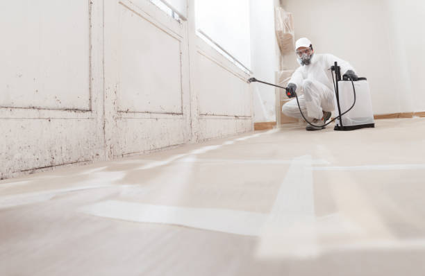 24/7 Emergency Mold Remediation experts in Hudgins, VA