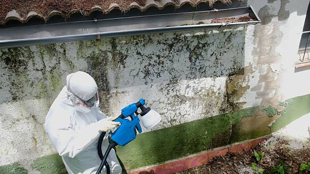Top rated local Mold Remediation specialists in Hudgins, VA